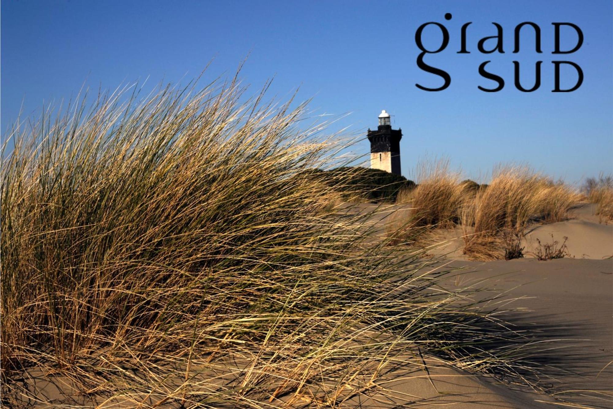 Les Aigrettes - Studio Proche De La Plage เลอ โกร-ดู-รัว ภายนอก รูปภาพ